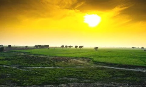 Spring sunset over green fields Stock Photos
