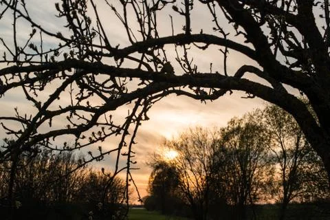 Spring sunset Stock Photos