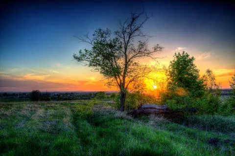 Spring sunset. Stock Photos