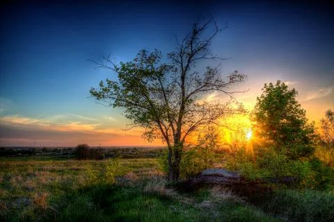 Spring sunset. Stock Photos