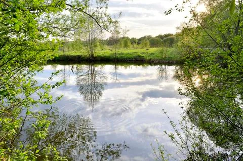 Spring sunset on the river Foto stock
