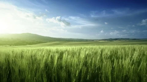 Spring sunset in Tuscany, Italy Stock Footage 76674854