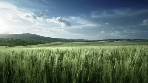 Spring sunset in Tuscany, Italy Stock Footage 76992548