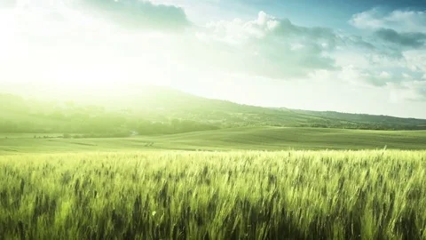 Spring sunset in Tuscany, Italy Stock Footage 82124065