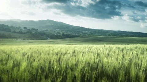 Spring sunset in Tuscany, Italy Video stock 83635863