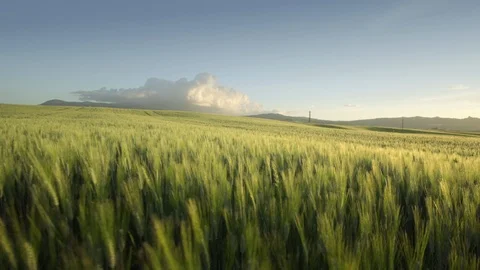 Spring sunset in Tuscany, Italy Stock Footage 106729436