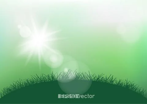 Spring sunshine light and grass Stock Illustration
