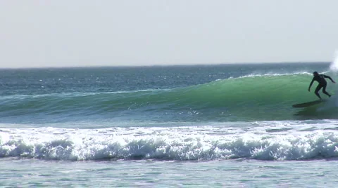 Spring Surfer Vídeos de archivo 2472584