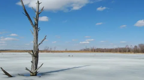 Spring in the swamp 스톡 동영상 10893261