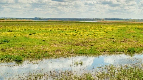 Spring in the swamp, reflection clouds in the water. Time lapse 動画素材 74905904