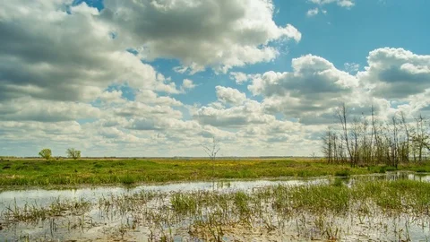 Spring in the swamp, reflection clouds in the water. Time lapse Stock Footage 74906439
