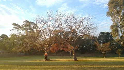 Spring in Sydney Stock Photos