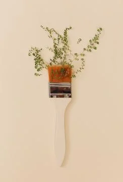Spring symbol. Creative composition of paint brush with white handle and plant Photos