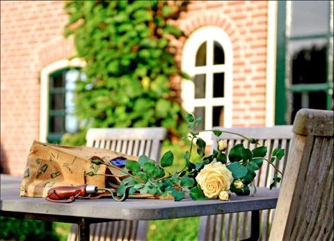 Spring table composition 写真素材