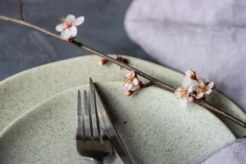 Spring table setting with blooming tree branch Stock Photos