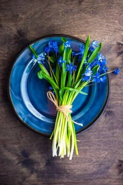 Spring table setting with blue scilla siberica Stock Photos