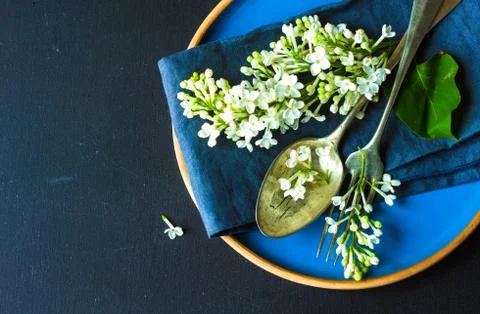 Spring table setting with white lilac Foto stock