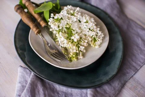 Spring table setting with white lilac Foto stock