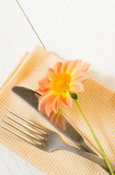 Spring table settings with fresh flower, napkin and silverware. Stock Photos