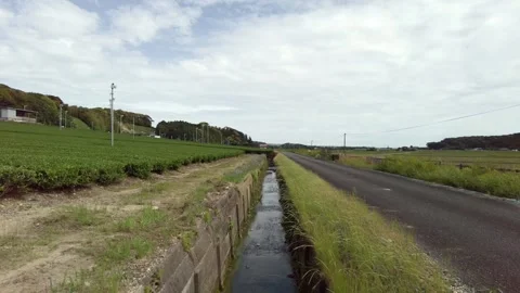 Spring Tea Fields and Rice Paddies in Fukuroi, Shizuoka, Japan Stock Footage 334370130