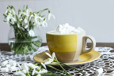 Spring tea party: a cup of tea with soft marshmallows against the backgroun.. Stock Photos