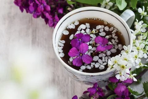 Spring tea party: cup of tea with petals and flowers, close-up Stock Photos