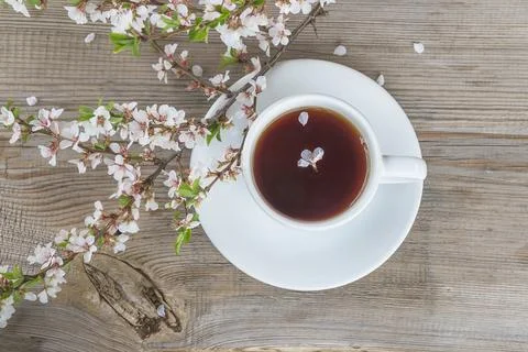 Spring tea time; white cup of tea or coffee and cherry blossom on wooden ta.. Stock Photos