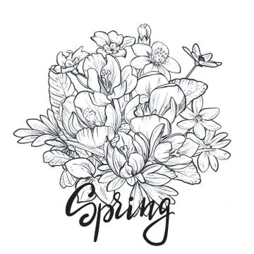 Spring text. Hand lettering with hand drawn flower bouquet on white background. Stock Illustration