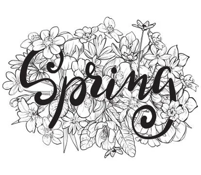 Spring text. Hand lettering with hand drawn flowers and leaves Stock Illustration