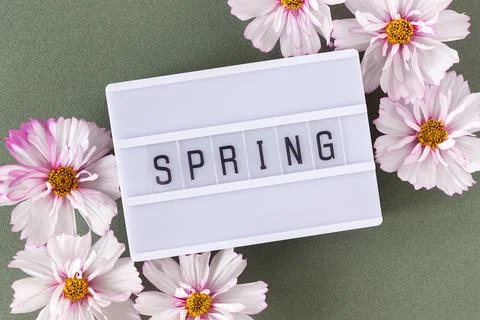 Spring text on light box and natural delicate pink flowers on green backgroun Foto stock