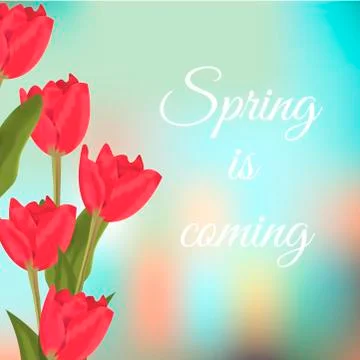 Spring text with red tulips flower bouquet Stock Illustration