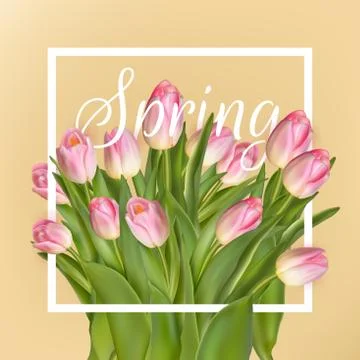 Spring text with tulip flower. EPS 10 Stock Illustration