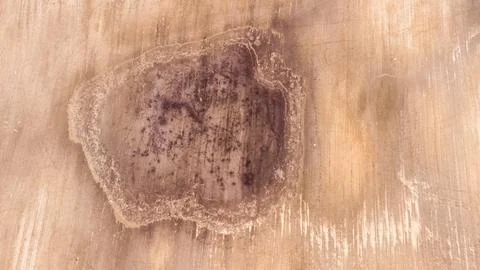 Spring texture from above arable field, animal tracks Stock Photos