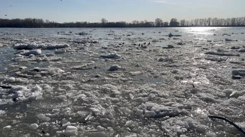 Spring Thaw: Birds on Floating Ice Stock Footage 238376154