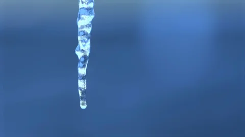 Spring thaw dripping icicle Stock Footage 105524302