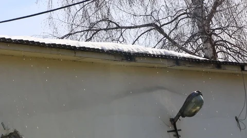Spring thaw drops on a Sunny day. Video stock 105807101
