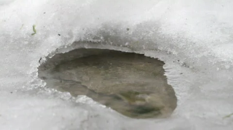 Spring thaw. Stock Footage 594122
