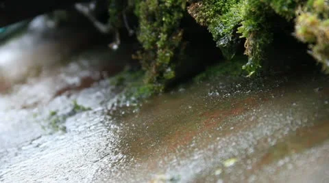 Spring thaw Video stock 10750856