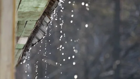 Spring thaw Video stock 72292632