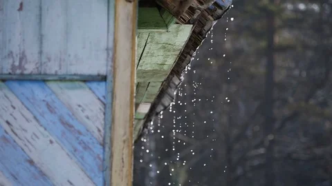 Spring thaw Stock Footage 72292712