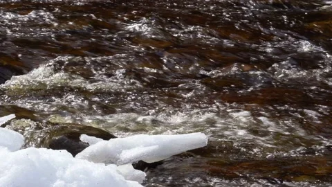 Spring thaw Stock Footage 171528286