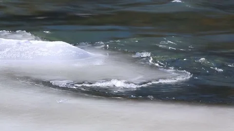 Spring Thaw Out Loop Video stock 72329496