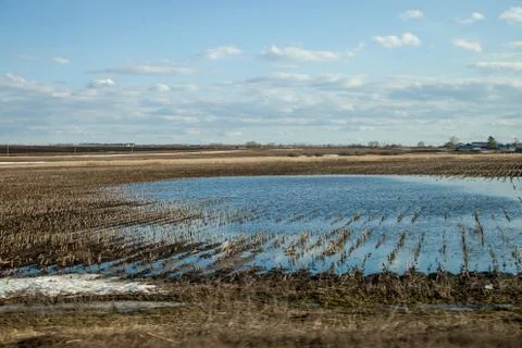 The spring thaw Stock Photos