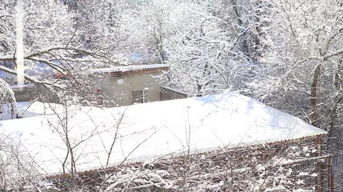 Spring thaw in a shiny day Vídeo Stock 70751406