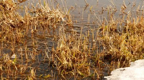 Spring thawed patch in the ice of the river. Frozen ice and snow Stock-Fotos