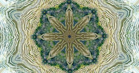 Spring theme Stock Photos