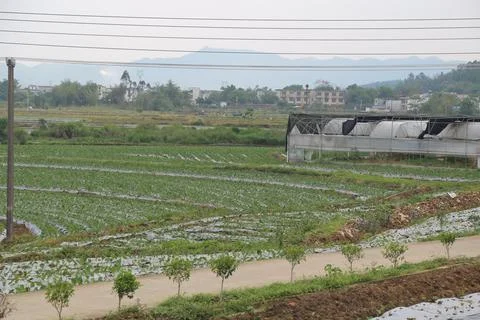 In the spring, there is an endless vegetable field in front and two large w.. Stock Photos