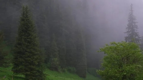 In the spring, there is heavy rain and downpour in the mountains Stock Footage 276175561