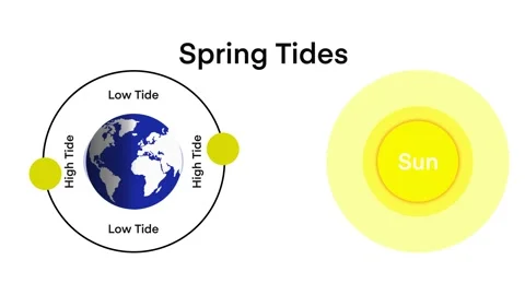 Spring tides and Neap tides, Lunar and Solar tides Stock Footage 314977942