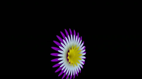 Spring Time 02 Stock Footage 11241623